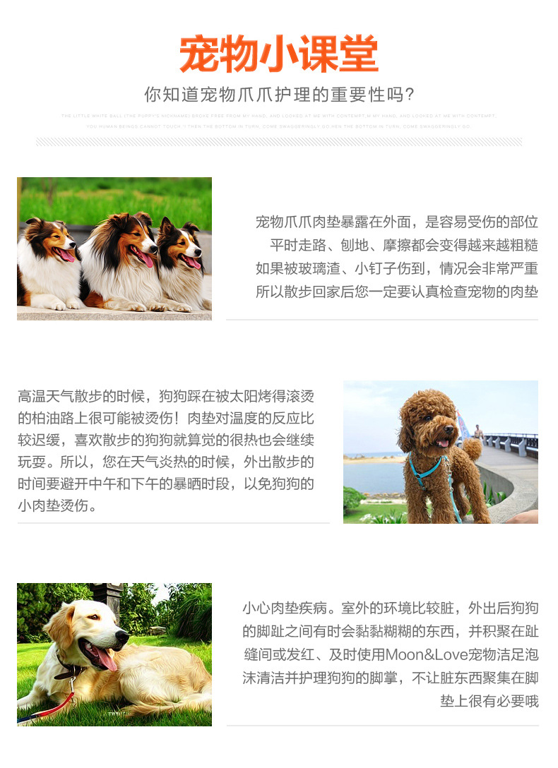 Pet dog làm sạch chân bọt tạo tác miễn phí Teddy mèo chăm sóc chân chất lỏng làm sạch sản phẩm làm đẹp - Cat / Dog Beauty & Cleaning Supplies lược gỡ rối lông chó