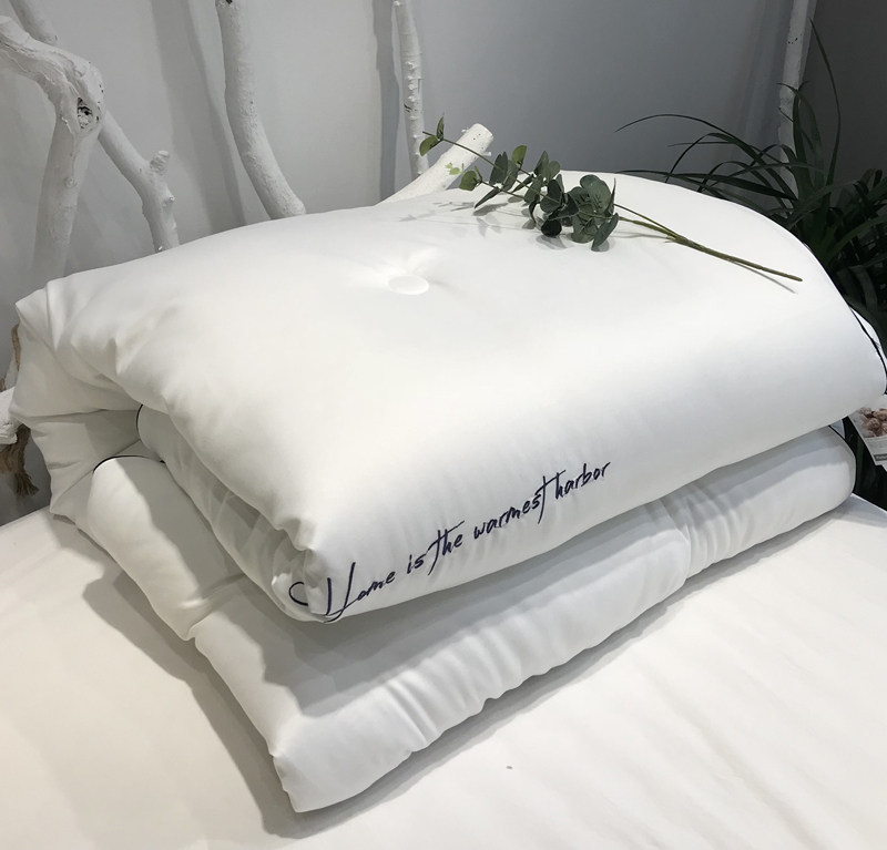 Ultra soft glutinous pituitary sensation Japan imported warm suede cloud soft autumn winter quilt thickened warm winter quilt core 2 m double