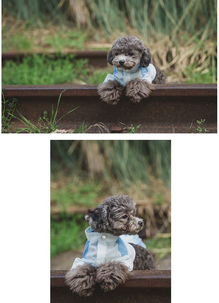 JOYCELELE quần áo thú cưng quần áo chó màu mùa hè phù hợp với áo sơ mi trắng và xanh Teddy luật chiến đấu quần áo mèo và chó - Quần áo & phụ kiện thú cưng áo dành cho mèo	