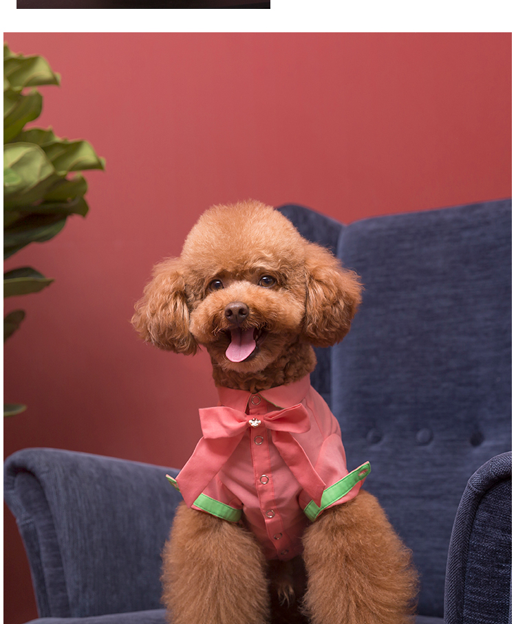 JOYCELELE quần áo thú cưng quần áo chó mùa xuân và mùa hè thắt nơ mỏng áo Teddy luật chiến đấu quần áo Bago - Quần áo & phụ kiện thú cưng áo cho chó cưng