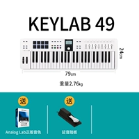 Новое 3 -е поколение [49 Key White]+Педаль+подлинный звук