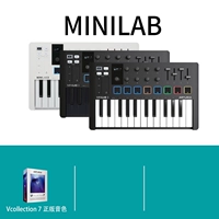 [Minilab 3 Selection One]+Vollection 7 Tone Bacd Devens of Thoups of Guinduine Colors