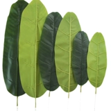 Моделирование банановое лист банановый лист над грифом фальшивый лист фальшивый листья банановые дерево витрина цветочный зеленый лист лист лист декоративный танец Proposa