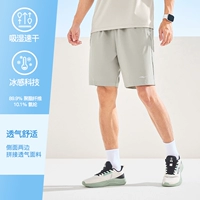 【3019】Серый ледник