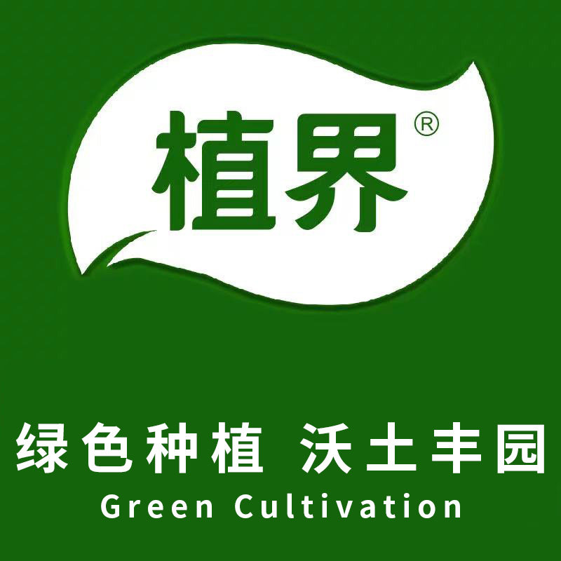 实惠购物商城1号店