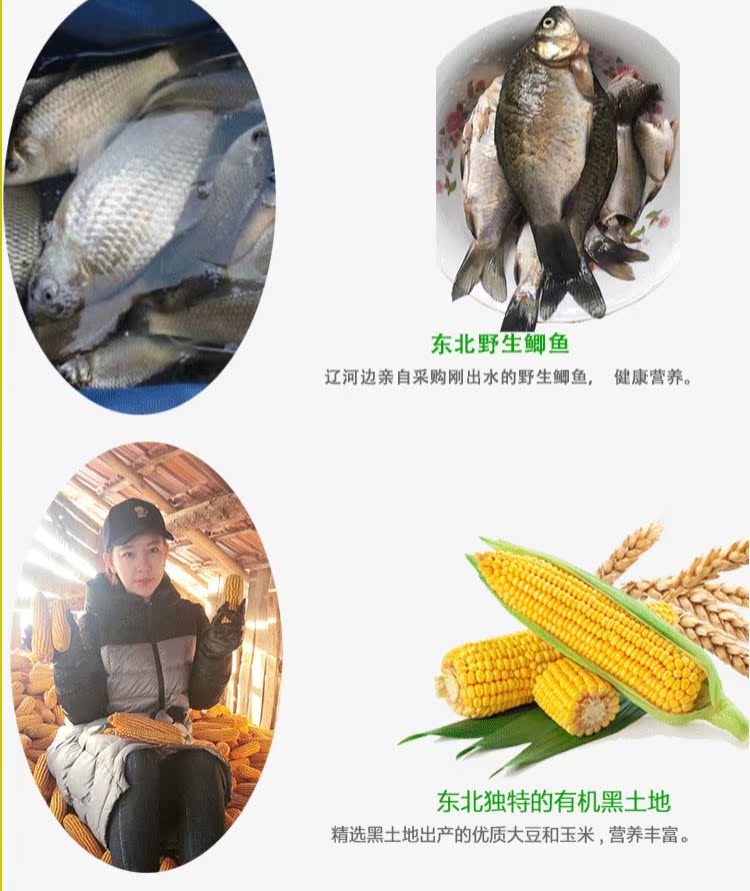 Hướng dẫn con chó thực phẩm mới 500 gram vịt thịt cá hồi súp khoai lang bí đỏ tím và cá hồi khác Vàng Satsuma Corgi - Chó Staples thức ăn chó smartheart