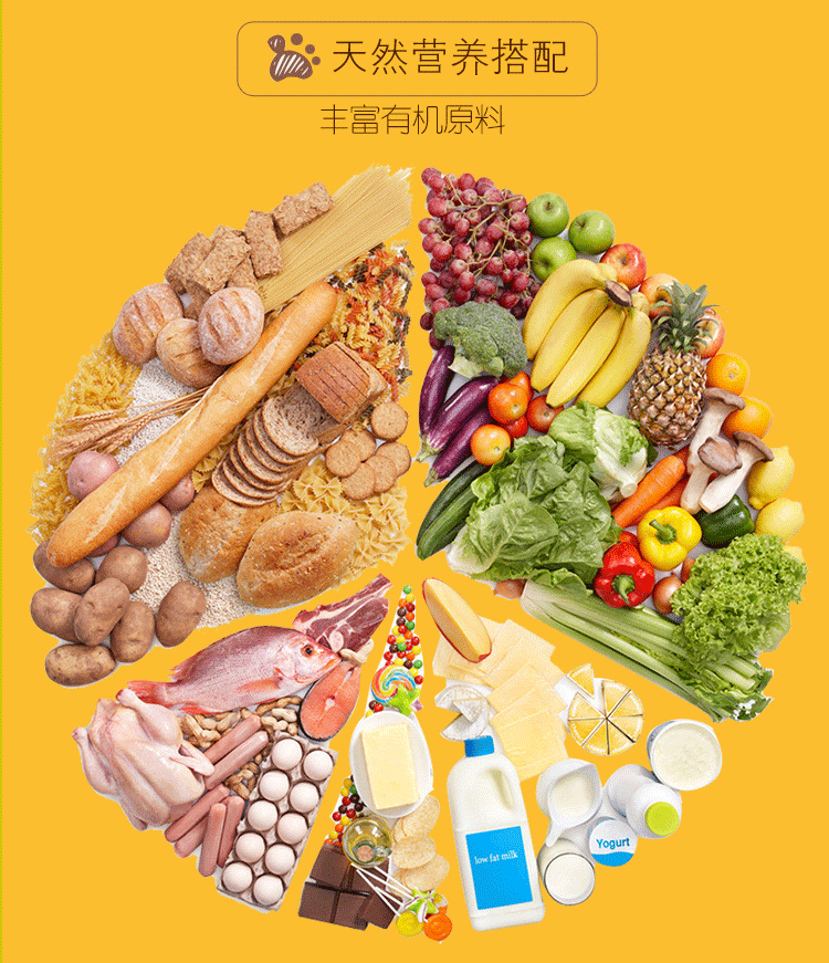 Hướng dẫn con chó thực phẩm mới 500 gram vịt thịt cá hồi súp khoai lang bí đỏ tím và cá hồi khác Vàng Satsuma Corgi - Chó Staples thức ăn chó smartheart