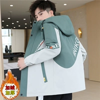 【Посылки】 9916 зеленый рис