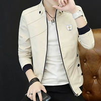 602 Хаки цвет