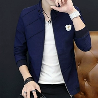 602 тибетский синий цвет