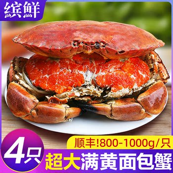 Grab the extra large bread crab at 49.9! one day only!