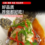 Grouper Fresh Frozen Wild Super Loge-Sea Sae Fish, укрытый тигр, джентцы, род, окурь, морепродукты с тигром, морепродукты, водные продукты