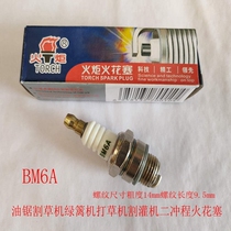 Torch spark plug BM6A L7T oil saw mower green fence machine mowing machine cutting irrigation machine two-stroke spark plug