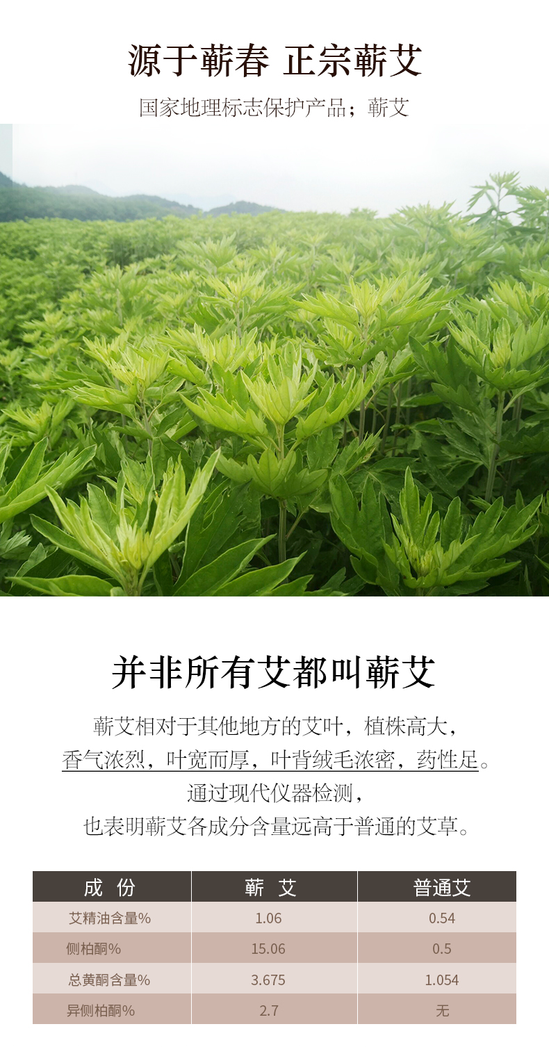 大明古艾 正宗蕲艾 雷火灸4-7CM粗 图4