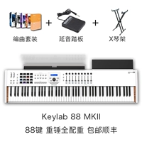 Белый 88 клавиша+педаль+стойка+набор расположения