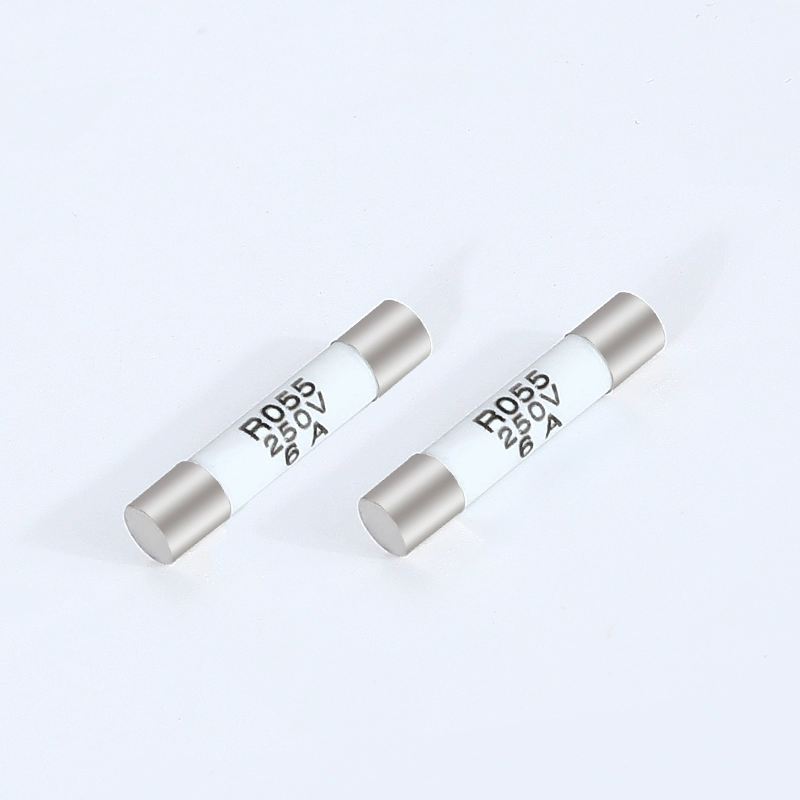 Cầu chì gốm 5×20 5×25 R055 Cầu chì lõi cầu chì 2A 4A 250V 100/hộp cầu chì 5a cau chi 5a