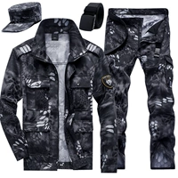 Набор рисунков Python (без национального флага)+лента шляп