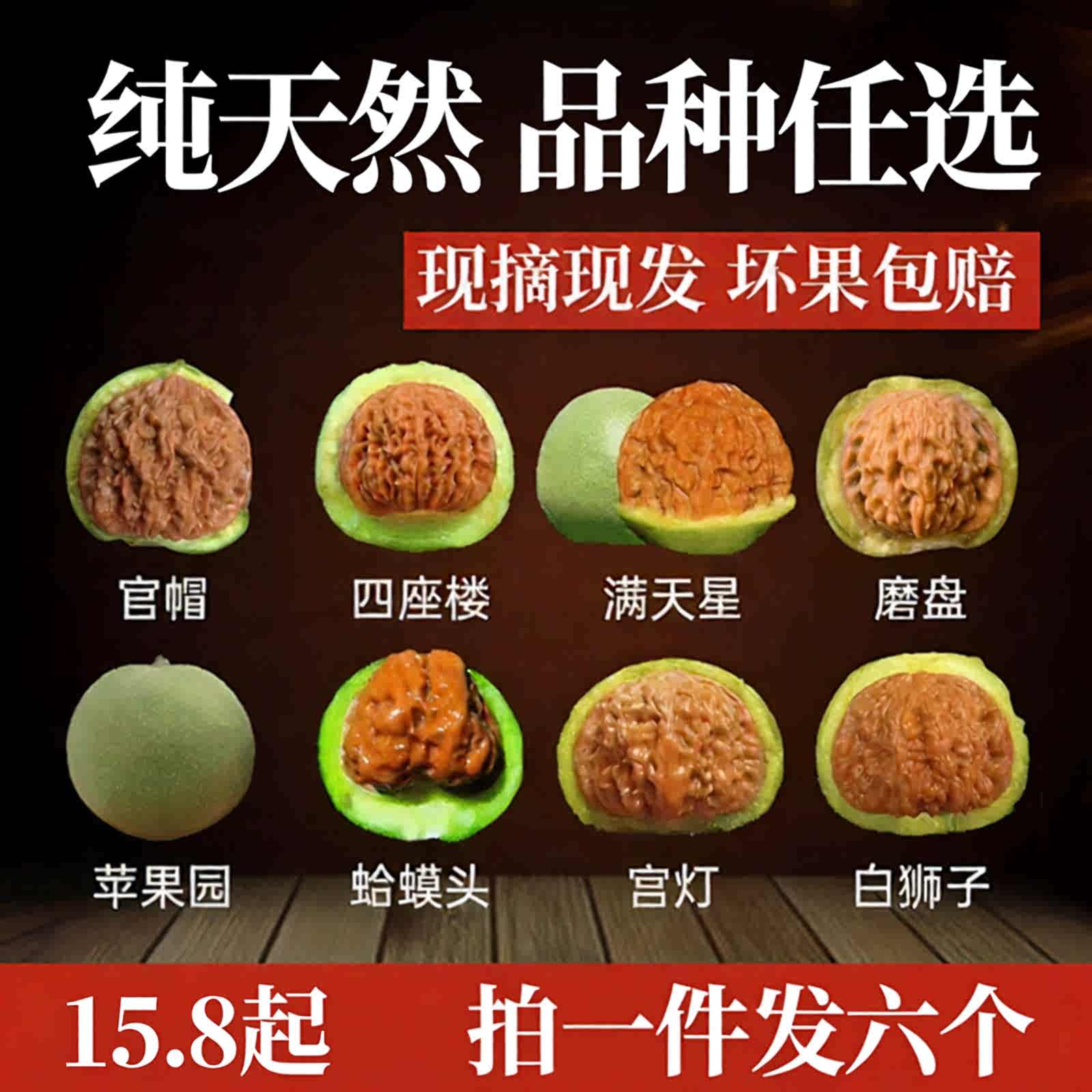 文玩核桃-新人首单立减十元-2026年7月|淘宝Taobao|天猫Tmall