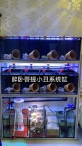  Clownfish breeding system cylinder bottom filter system cylinder Seawater group cylinder 