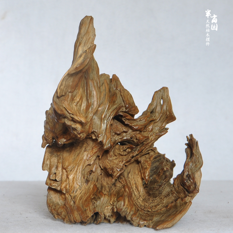 Natural hardwood as a whole with shape of microlandscape and table furnishings indoor soft decorations