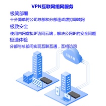 VPN networking service) Internet any computer forms a Virtual Local area network
