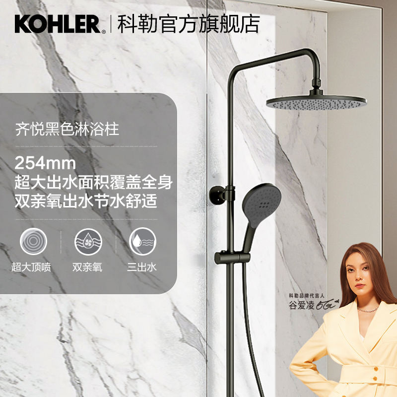 Koehler Bathroom DELIGHT SHOWER Shower Head Kit Home Sprinkler OXYGEN NEW PINT BLACK 23126T-B9-2BL