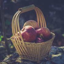 Yunnan Plateau Northwest Le clown apple crunchy sweet and refreshing fruit flavor rich childhood taste about 5kg