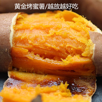 Yunnan boutique honey potato sweet potato old chestnut sweet potato powder sweet sweet 5kg rhyme ecological planting more delicious
