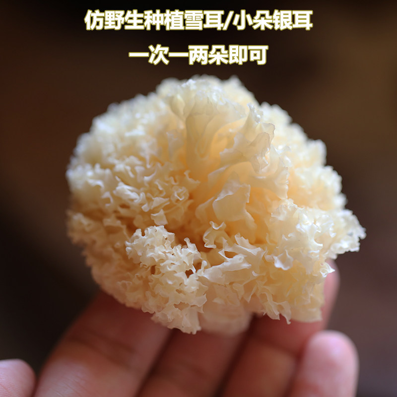 Semi wild sulfur - free wild planting snow ear small silver ear foam rate of 100 g soft glutinous