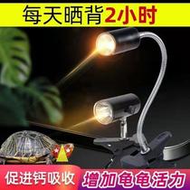 New climbing Flattering Light Turtle back light Sunburn Back Table Lamp Turtle Light Turtle lamp Turtle Light Sunburn Turtle to Turtle Sun