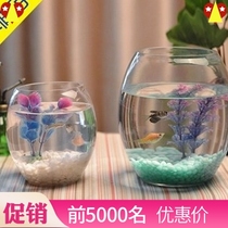 Round transparent glass goldfish tank small medium small turtle tank Hydroponic utensils Office desk Creative fish tank bullet head