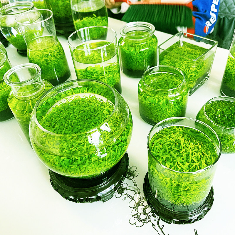 水草泥生态瓶：客厅里的绿色呼吸，桌面景观新宠！-生态瓶-淘宝好物网