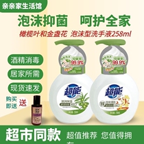 Super foam type moisturizing and removing flavor fresh hand sanitizer 258ml mild hand care health sterilization quality