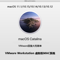 VMware Workstation install black Apple virtual machine VMware install-free Mac system image package