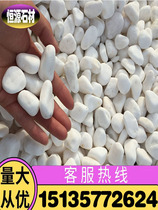 Shanghai natural white stone sub patio paving paving cobblestone white pebble grain small white stone building landscape