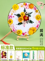 Стандартная модель [удовлетворительно] + клей + пинцет + кронштейн + цветная страница