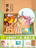 Модель подарочной коробки [lily] + клей + пинцет + кронштейн обновления + цветная страница