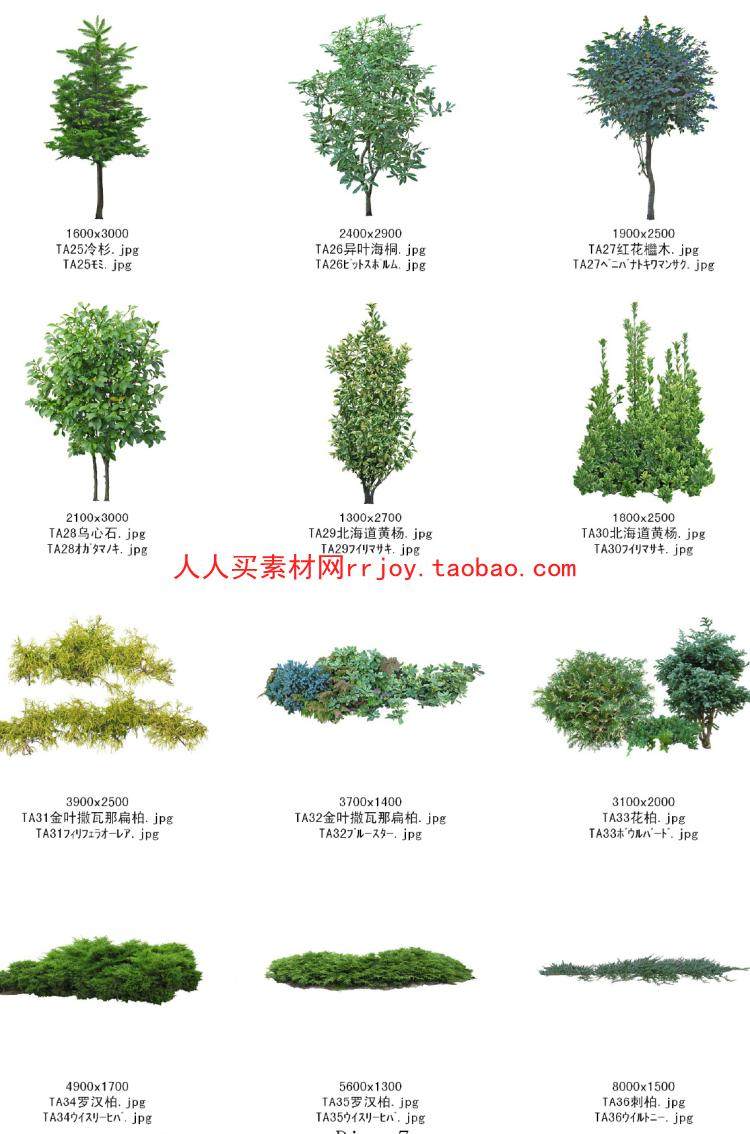 高清园林景观效果图后期素材psd植物花草人物山石小品配景图库 人人买素材网