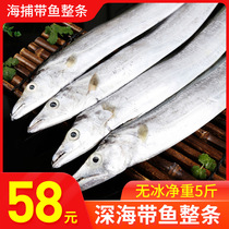 Sea catch wild carp 5kg ice-free whole special Zhoushan small eye with fish seafood fresh frozen