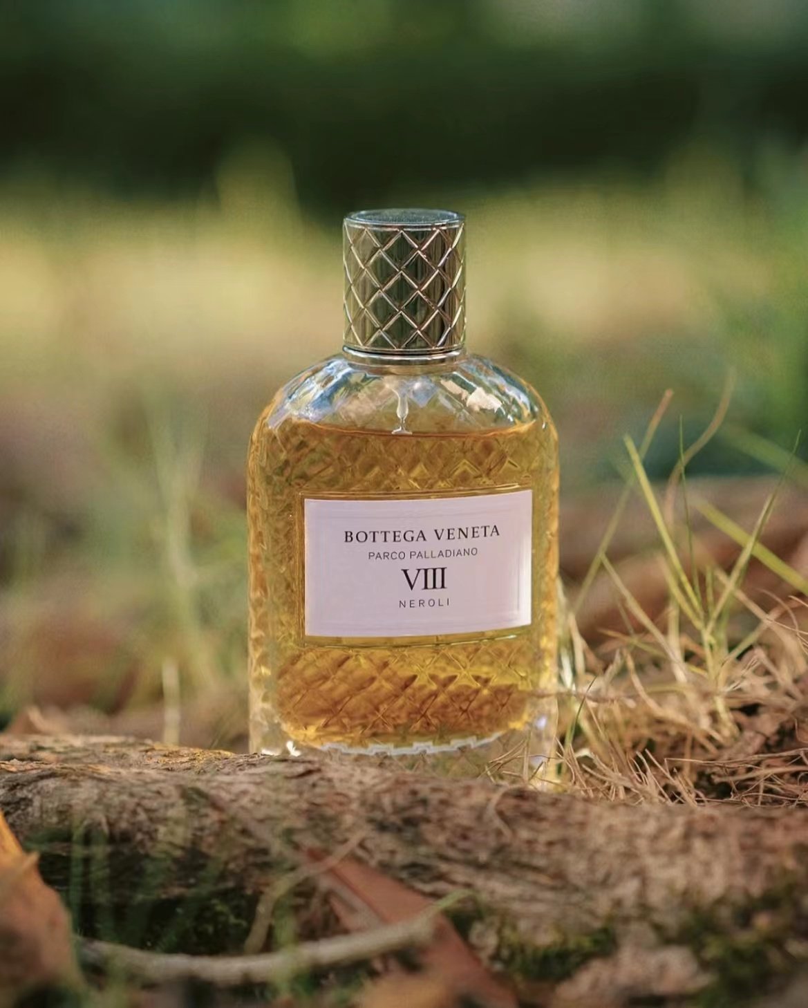 香水(女性用) BOTTEGA VENETA Bottega Veneta葆蝶家宝缇嘉帕拉迪诺花园香水值不值得买？_香水_淘宝美妆网