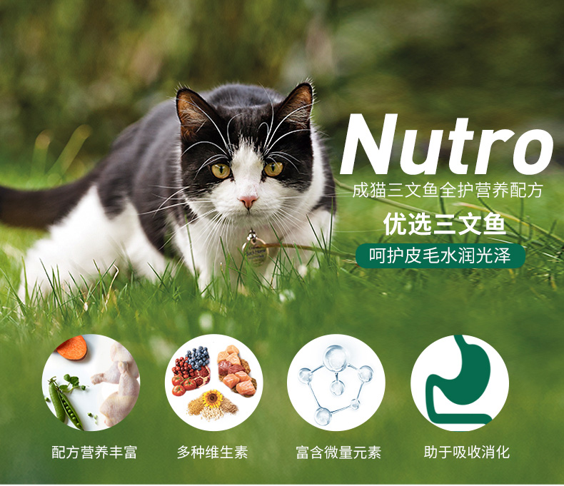 Meishi Nutro Hoa Kỳ nhập khẩu tự nhiên vào thịt mèo cá hồi thức ăn cho mèo 3 cân lông đẹp để cải thiện thức ăn chủ yếu cho mèo mềm catsrang 1kg