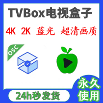 tvbox软件 4k小苹果影视仓 安装指导教程