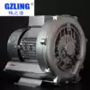 GZLing High pressure fan vortex air pump 2RB 230 H16 0 4KW 0 7KW