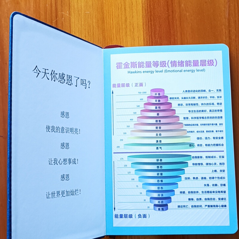 Zero Limit Cleanse and Reset Tool New Blue Gratitude Energy Book Thank You I Love You Notebook with Stickers