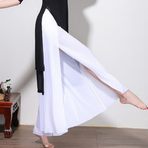 Classical dance practice clothing Summer body rhyme elegant Chinese style belly dance practice clothing Lower body wide leg pants mesh yarn