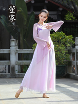 Classical dance rhyme yarn dress Elegant performance suit Chinese style national dance Hanfu Mesh top wide leg pants practice suit