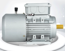 YEJ8018 8028 90S-8 90L-8 100L-8 112M 132S 132M-8 deli brake motor