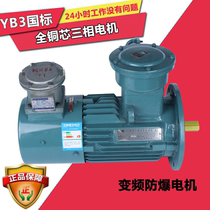 Variable frequency explosion-proof motor copper GB YB2 YB3-90L-4 80 71 100L 112 132