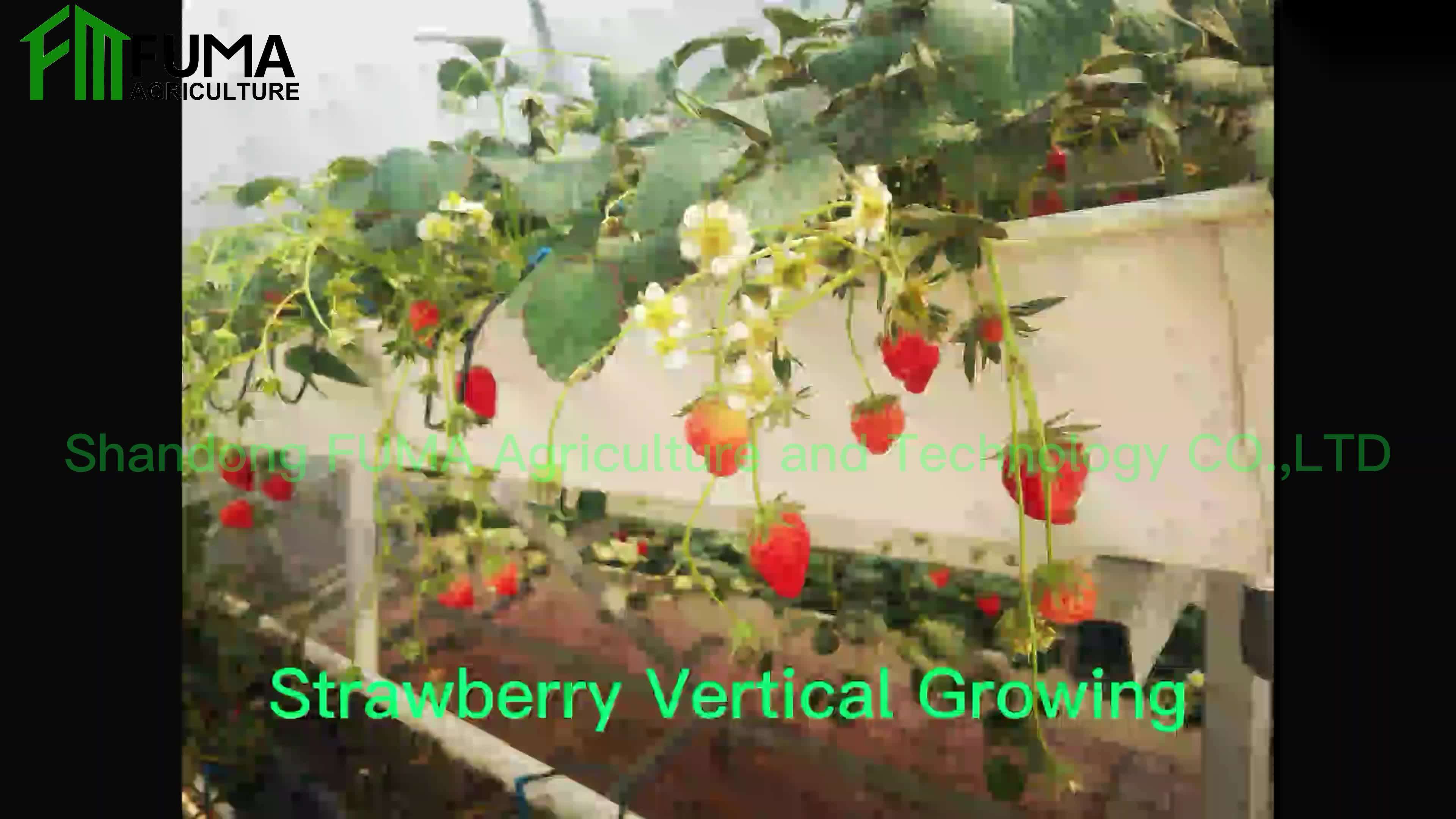 Fm 2022 Newest Design Pvc Hydroponics Strawberries Nft Gutter Gullies