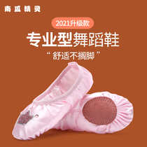 Dance shoes Childrens womens soft-soled spring and summer dance practice shoes Ballet shoes Princess Yoga cat claw shoes lace-up-free
